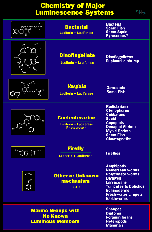 For a text version of this table, select the link below.